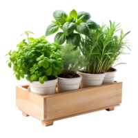 rustiek kruid planter arrangement Aan een transparant achtergrond png
