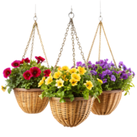 Garden Hanging Baskets Lush with Flowers on Transparent Background png