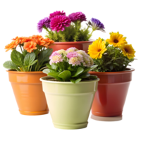 Assorted Collection of Flower Pots on a Transparent Background png