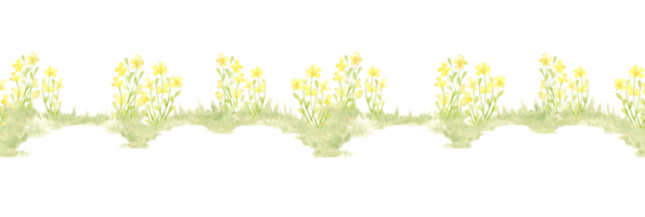 Clearing with yellow flowers pattern horizontal element of watercolor illustration of natural landscape. Forest wildlife scene with herbs, flowers, vegetation. To compose compositions on the theme png