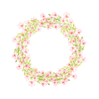 rosado flores pequeño campo marco, guirnalda, acuarela ilustración. verano prado con floral impresión y flores silvestres aislado desde el antecedentes. para diseño tarjetas, invitaciones, Boda decoración, png