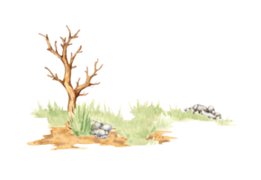 Naturel paysage élément aquarelle illustration. faune forêt scène avec vert herbe, sec arbre et des pierres. pour conception compositions sur le thème de les forêts, tourisme, voyage, Extérieur des loisirs. png