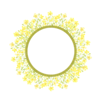 Yellow flowers small field frame wreath watercolor illustration. Summer meadow with floral print and wildflowers. Isolated from the background. For designing cards, invitations, wedding decor, png