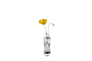 a vase with flowers on a transparent background png