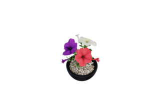 a vase with flowers on a transparent background png