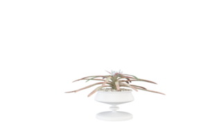 en vas med blommor på en transparent bakgrund png