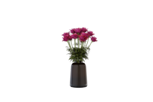 a vase with flowers on a transparent background png