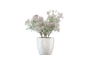 a vase with flowers on a transparent background png