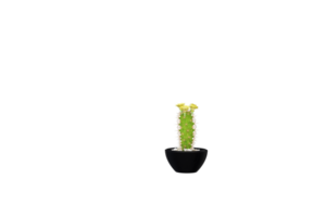 a vase with flowers on a transparent background png