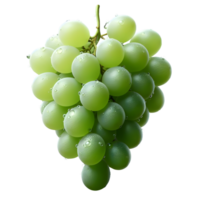 Fresh grapes bunch on transparent background png