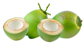 fresh Tropical coconut fruit on transparent background png