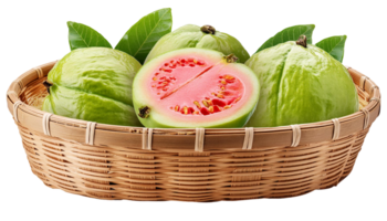 basket filled with fresh guava fruit png