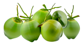 fresh Tropical coconut fruit on transparent background png