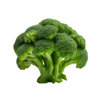 A broccoli isolated on transparent background png