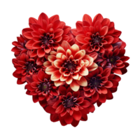 A heart made up of red dahlia flowers isolated on transparent background png