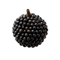 A single black pepper isolated on transparent background png