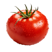 uma vermelho tomate com água gotas isolado em transparente fundo png