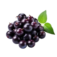 Acai berry isolated on transparent background png