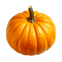 A top view of a ripe orange pumpkin isolated on transparent background png