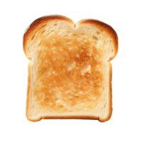 A single toasted slice of bread isolated on transparent background png