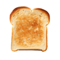 A single toasted slice of bread isolated on transparent background png