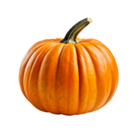 A pumpkin isolated on transparent background png