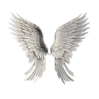 angel wings isolated on transparent background png