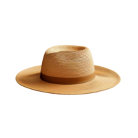 increíble Paja sombrero aislado en transparente antecedentes png