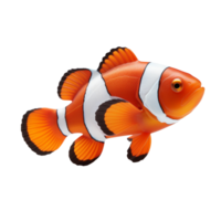 An orange and white clown fish isolated on transparent background png