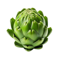 artichoke isolated on transparent background png