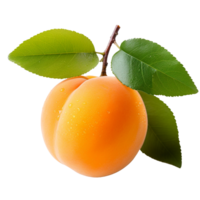 apricot isolated on transparent background png