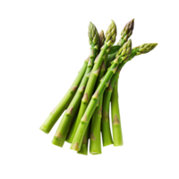 Asparagus isolated on transparent background png