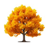 autumn maple tree isolated on transparent background png