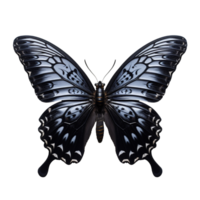 Beautiful black butterfly isolated on transparent background png