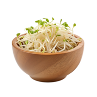 Beansprout in wood bowl isolated on transparent background png