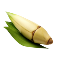 Bamboo shoot isolated on transparent background png