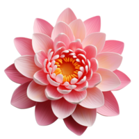 Beautiful pink lotus flower isolated on transparent background png