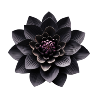 Black lotus flower isolated on transparent background png
