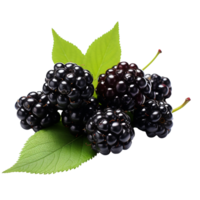 Black berries in a pile isolated on transparent background png