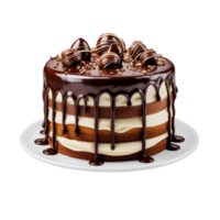 Birthday cake with chocolate isolated on transparent background png