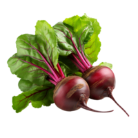 Beetroot with leaves isolated on transparent background png