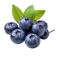 Blueberries with leaf isolated on transparent background png