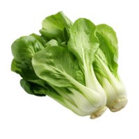 bok choy légume isolé sur transparent Contexte png