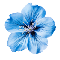 azul flor florecer aislado en transparente antecedentes png