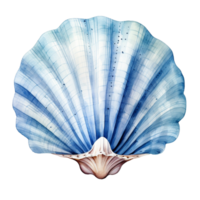 Blue watercolor seashell illustration isolated on transparent background png