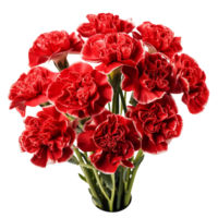 Bouquet of red carnation flowers isolated on transparent background png