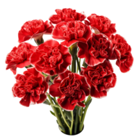 Bouquet of red carnation flowers isolated on transparent background png