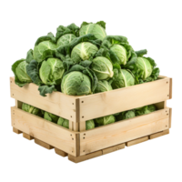 Cabbage in wooden crate isolated on transparent background png