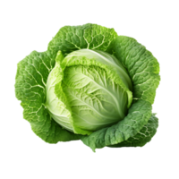 Cabbage isolated on transparent background png