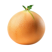 Cantaloup-Melone Melone isoliert auf transparent Hintergrund png